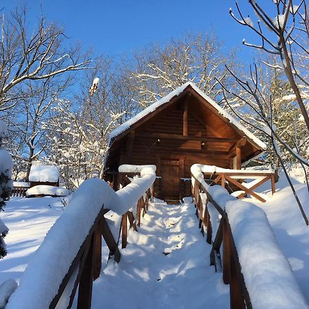 Villa Guсulka Ksenia Kosiv Esterno foto