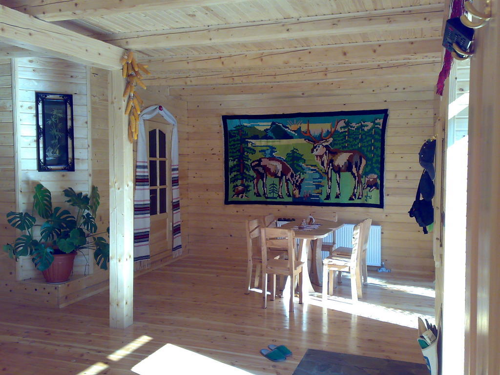 Villa Guсulka Ksenia Kosiv Esterno foto